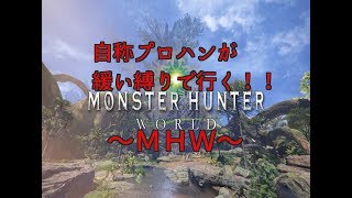 【モンスターハンターワールド】縛りサクサクプレイの前の下準備。モンハンプロ（自称）が緩い縛りでやるＭＨＷ