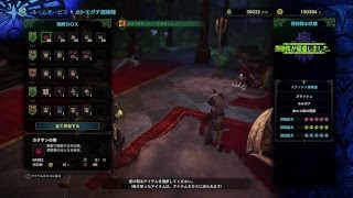 モンスターハンターワールド　こりゅう