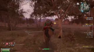 背中で語る男が逝く真・三國無双8   1配信(初心者・グダグダ)