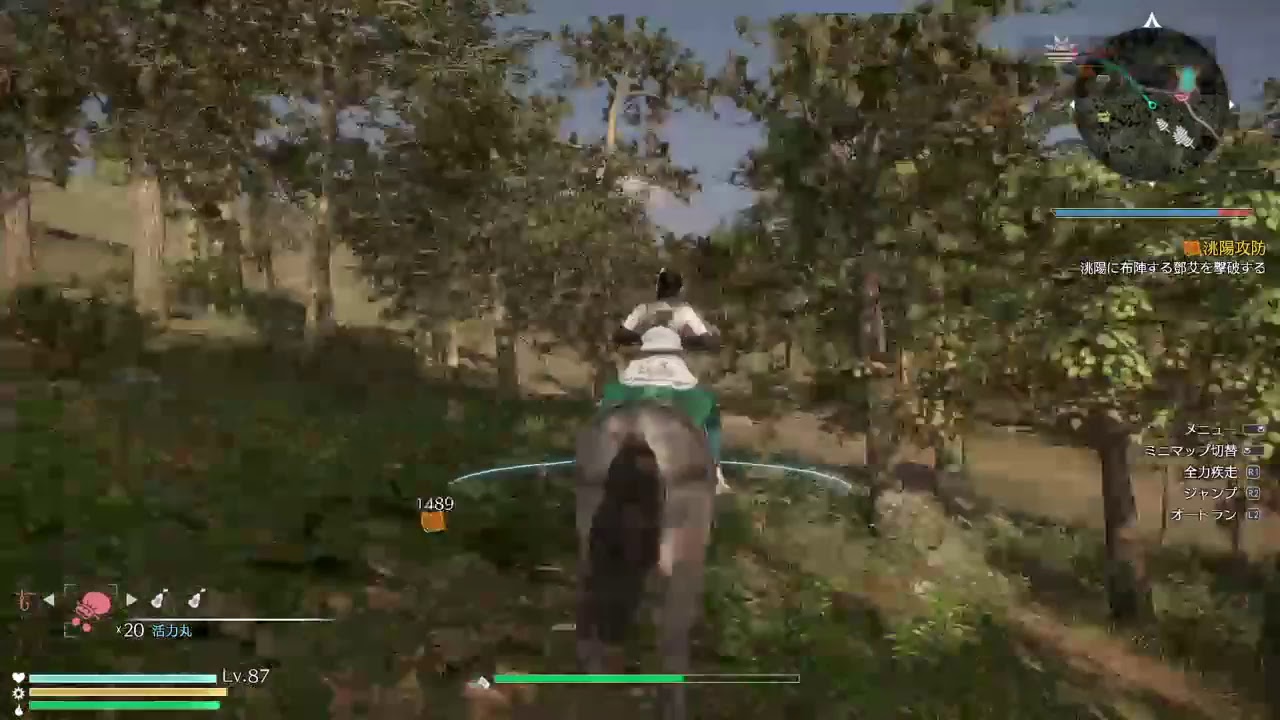 【正直な女】真・三國無双8【星彩プレイ＃5】