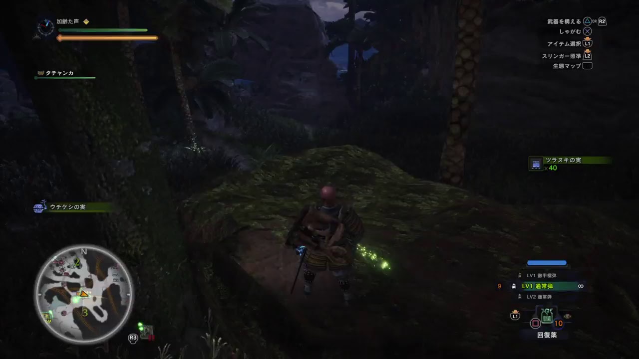 加齢た声のモンスターハンターワールド　ソロ　2.1