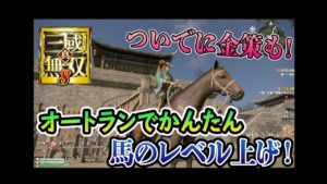 真・三國無双８_20180214104150