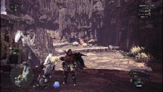 抜刀弓 装備紹介！ うんこ爆撃機を討伐！ モンスターハンターワールド