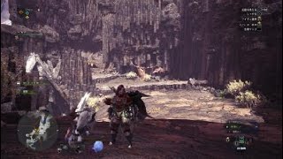 抜刀弓 装備紹介！ うんこ爆撃機を討伐！ モンスターハンターワールド