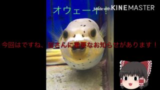 【PUBG】遂に！PUBGの実況やるぞ！