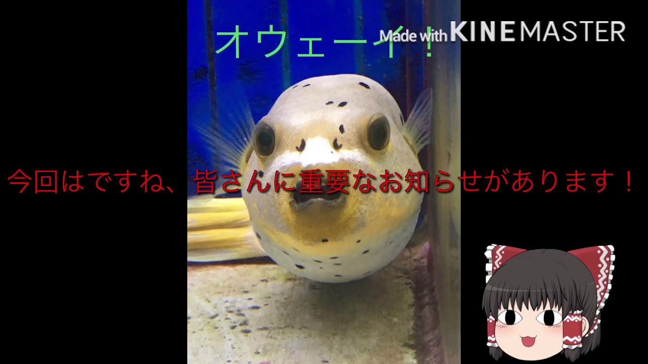 【PUBG】遂に！PUBGの実況やるぞ！