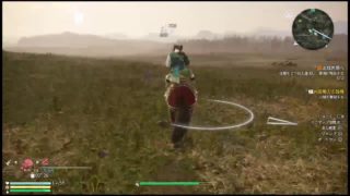 真・三國無双８ - LIVE (蜀推しの)オッサンが赤い馬で姜維を楽しむ