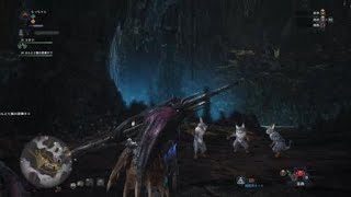 モンスターハンター：ワールド　可愛らしい