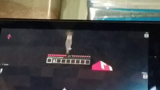 マインクラフトアスレ実況