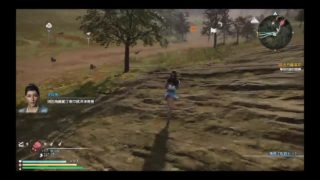 真・三国無双8  修羅 [辛憲英]