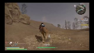 真・三国無双8  修羅 [辛憲英]