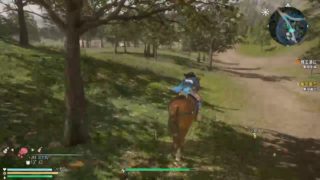 真・三国無双8  修羅 [辛憲英]