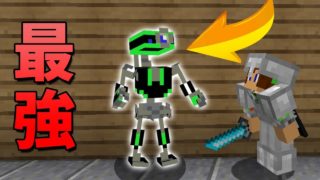 【マインクラフト】かくれんぼでロボットになる!? (最強)