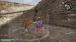 [真三國無双８]まったりプレイ動画＠途中から－2