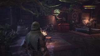 [モンスターハンターワールド MHW]モンハン世界狩猟日記 #1