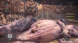 モンスターハンター：ワールド_20180224032407