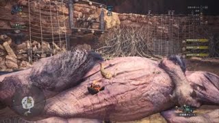 モンスターハンター：ワールド_20180224032407
