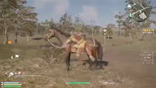 X箱でやる！真三國無双８＃14