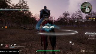 真・三國無双8　馬のレベル上げ