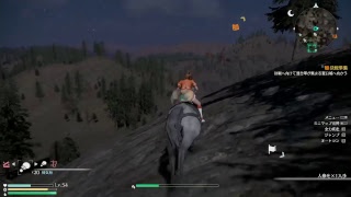 【真・三國無双８】まったり配信【マップ解放】