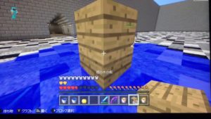 マインクラフトＰｖＰ(Switch)