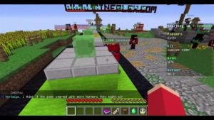 RIVIのミニゲームを極める道　マインクラフト