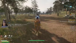 真・三國無双8 #36 晋 辛憲英編1 マイペースにやる