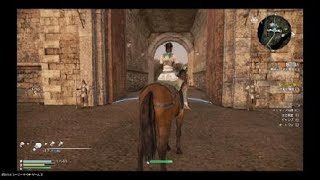 PS4 真・三國無双8 (蜀) 星彩 許褚を撃破