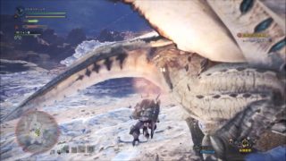 モンスターハンターワールド＃２８　ガッキー空を飛ぶ！？