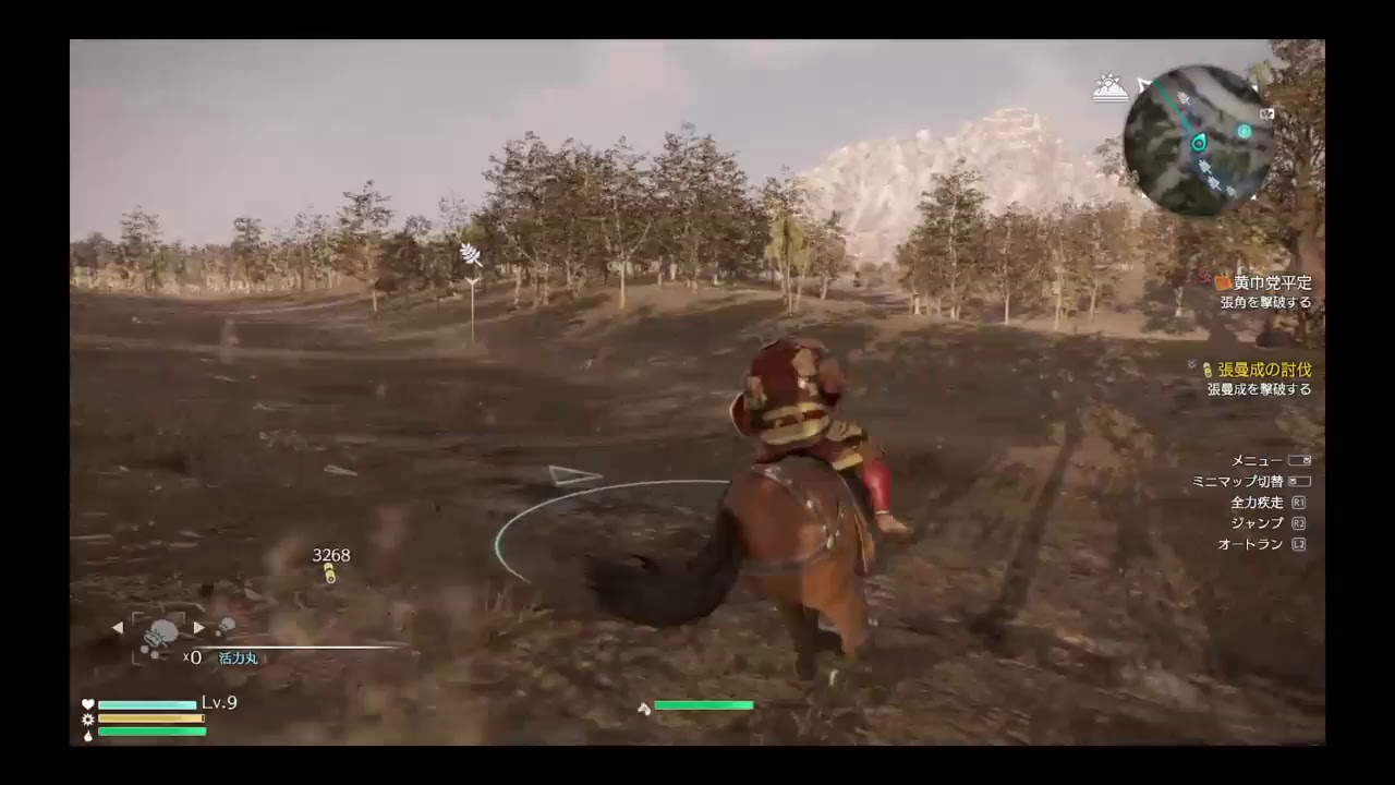 真・三國無双８　買ってやったぜ！