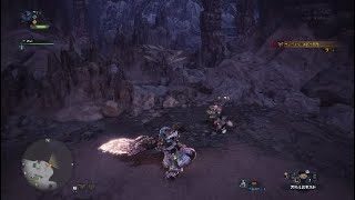 モンスターハンターワールドぐったりプレイ日記Part8ランゴスタ、リオレイヤ