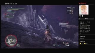 モンスターハンターワールド