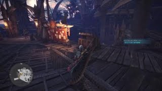 モンスターハンター：ワールド_イビルジョー　ソロ