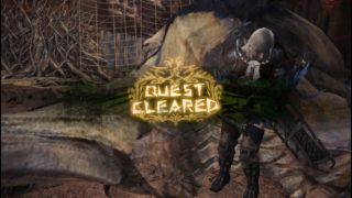 モンスターハンターワールド　特殊闘技場　 風漂竜　2018 03 13 23 05 33 324