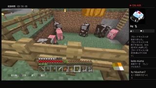 すぐ死んじゃう人のマインクラフト　その7