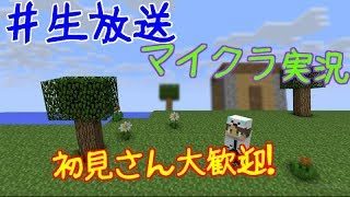 【ライブ】洸のマインクラフト【マイクラ実況】収録外自慢のために。【収録外】