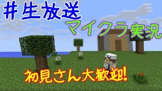 【ライブ】洸のマインクラフト【マイクラ実況】収録外自慢のために。【収録外】