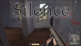 ｻｲﾚﾝﾄﾊﾟﾌﾞｼﾞｰ【PUBG実況】