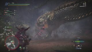 モンスターハンター : ワールド その31-2 歴戦イビルジョーリベンジ