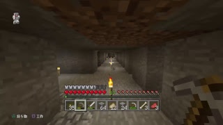 マインクラフト　PS4　フレンドと