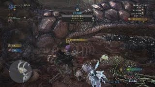 【モンスターハンターワールド】最近バゼルがあまりに目障りだからいじめてみた