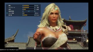 【新機能フォトモード】真・三國無双8 スケベカメラマンへの道【初級編】