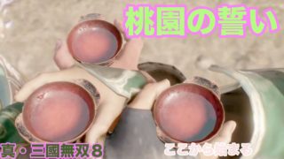 真・三國無双8 桃園の誓い