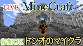 【マインクラフト】ウィザー討伐を行う場所を決めて整備する【ライブ－トシオのマルチ、マイクラ】