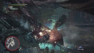 モンスターハンター：ワールド　歴戦　ヴァルハザク　スラッシュアックス