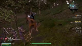 真・三國無双8 #39 晋 司馬昭編1 マイペースにやる