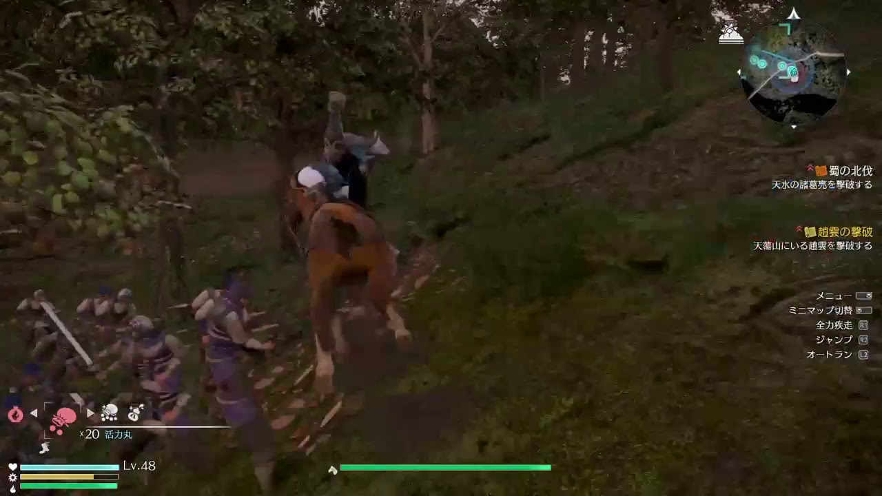 真・三國無双8 #39 晋 司馬昭編1 マイペースにやる