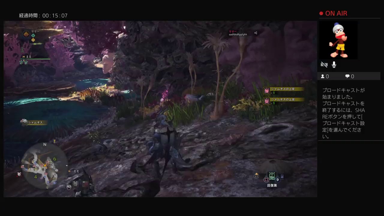 モンスターハンターワールド　虫退治