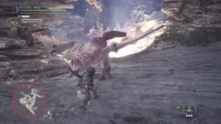 #5 モンスターハンターワールド　金冠作業