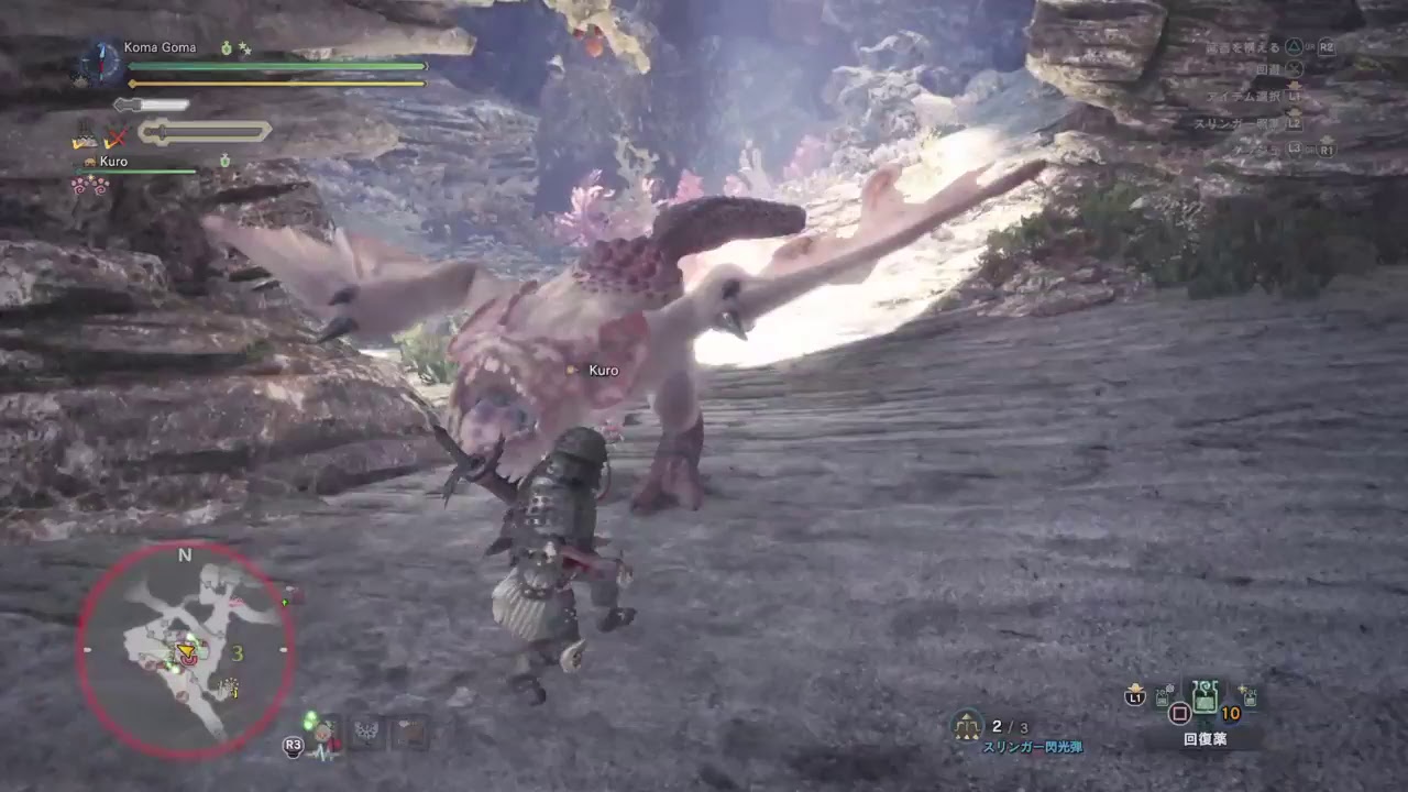 #5 モンスターハンターワールド　金冠作業